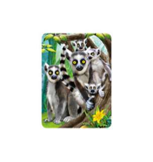 Obrázek z Magnet 3D 7x9cm - lemuři (25) 